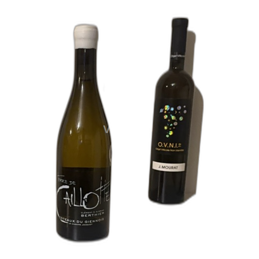 Loirevallei Coteaux-du-giennois Clément et Florian Berthier Terre de Caillottes Niet-geïntegreerd