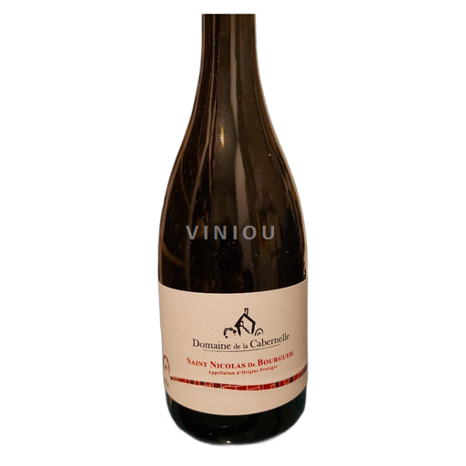 Loirevallei Saint-Nicolas-De-Bourgueil Domaine de la Cabernelle Niet-geïntegreerd