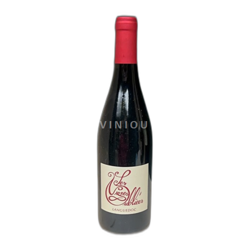 Languedoc Les Vignes Oubliées autour du Cinsault 2020