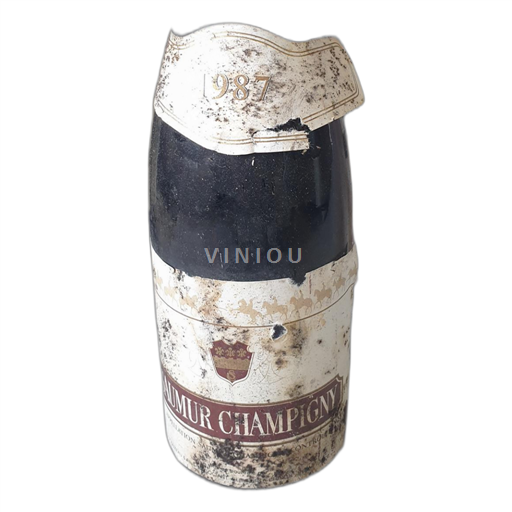 Loiredalen Saumur-champigny Je ne sais pas 1987