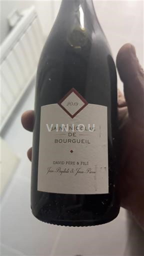 Loiretal Saint-Nicolas-De-Bourgueil David Père & Fils 2019