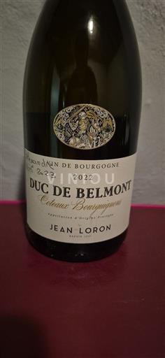 Borgogna Coteaux borgognoni Jean Loron Duc de Belmont 2022