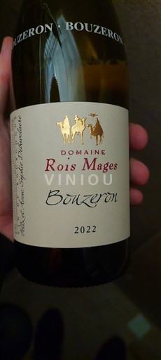 Borgogna Bouzeron Domaine Rois Mages 2022