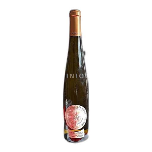 Alsace Pinot gris Cave du Roi Dagobert Les Terres du Roi 2022