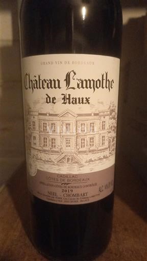 Bordeaux Cadillac-côtes-de-bordeaux Château Lamothe de Haux 2019