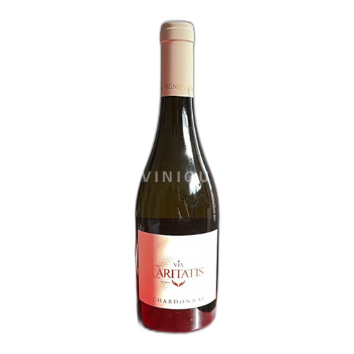 Provence, Nedre Rhônedal, Korsika Middelhavet Les Moines du Barroux et les Vignerons Caritatis Via Caritatis 2023