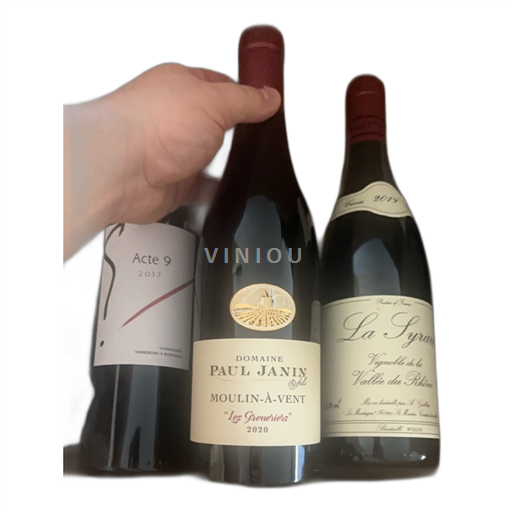 Beaujolais Moulin-à-vent Domaine Paul Janin Les Greneriers 2020