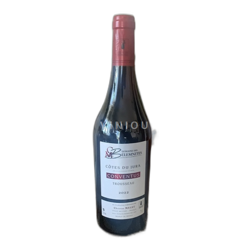 Vin Rouge sec Conventus Domaine Des Bélemnites 2022 France Jura Côtes-du-jura AOC