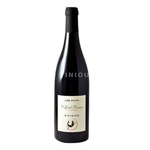 Valle della Loira Chinon Wilfrid Rousse Les Puys 2021