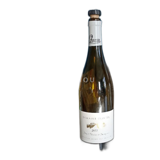Loirevallei Saint-Nicolas-De-Bourgueil Domaine Olivier Le Mont des Olivier 2022