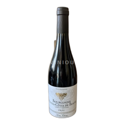 Bourgogne Hautes Côtes de Beaune Louis Chavy 2022