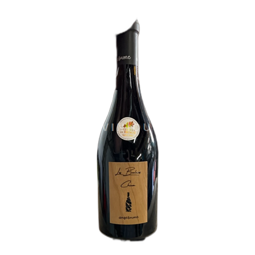 Vallée de la Loire Chinon Angelliaume Les Boulaies 2021