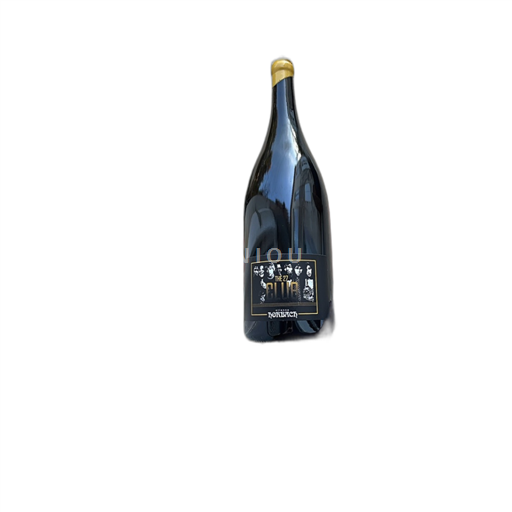 Jura Étienne Horbach Club des 27 1992
