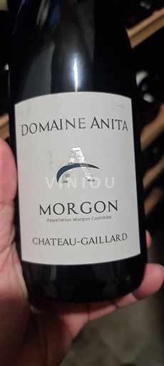 Beaujolais Morgon Domaine Anita Chateau-Gaillard 2022