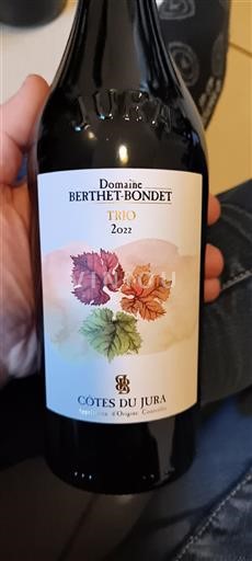 Жура Кот-де-Жюра Domaine Berthet-Bondet Trio 2022