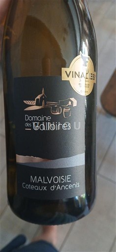 Thung lũng sông Loire Coteaux-d'ancenis Domaine des Galloires Malvoisie 2023