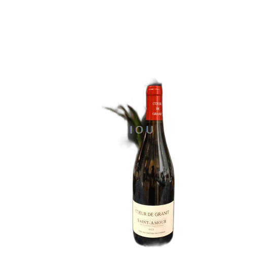 Beaujolais Saint-Amour Cave du Château de Chénas Cœur de Granit 2023