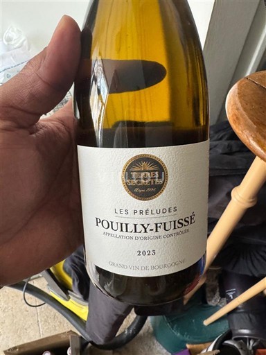 Burgundsko Pouilly-fuissé Terres Secrètes Les Préludes 2023