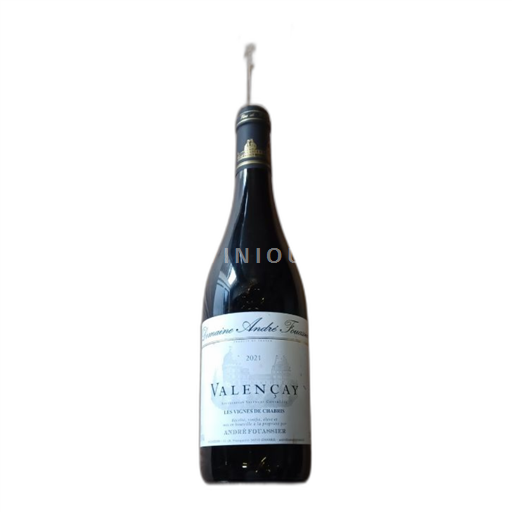 Loire Valley Valençay Domaine André Fouassier Les Vignes de Chabris 2021
