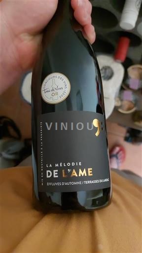 Languedoc Terrasses del Larzac La Mélodie de l'Âme 2019