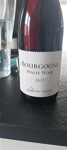 Bourgogne Alexandre Gauvin 2023