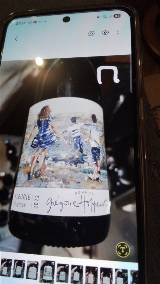 Beaujolais Fleurie Domaine Grégoire Hoppenot Origines 2022