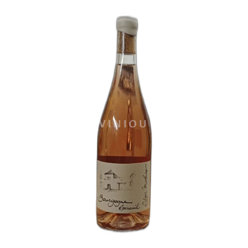 Borgoña Borgoña Epineuil Domaine Alain Mathias 2022