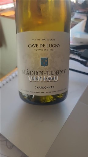 Vin Blanc sec Les Charmes Cave de Lugny 2023 France Bourgogne Mâcon et mâcon-villages AOC