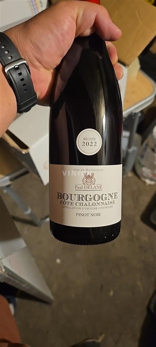 Borgogna Borgogna-Costa-Chalonnais Paul Delane 2022