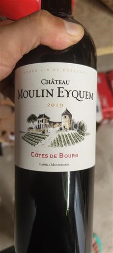 Bordéus Côtes-de-bourg Château Moulin Eyquem 2019