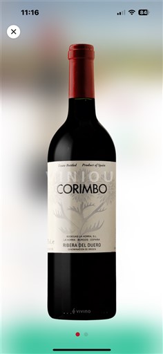 Kastilja in León Ribera del Duero Bodegas La Horra Corimbo 2019