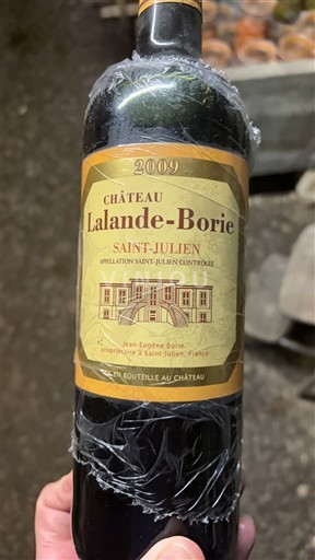 Bordoja Saint-Julien Château Lalande-Borie 2009