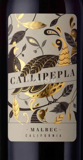 Kalifornische AVA Nicht spezifiziert Callipepla  2019