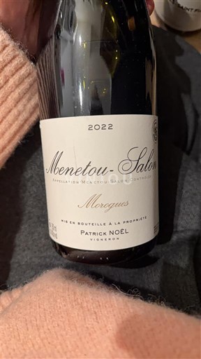 Loiretal Menetou-Salon Patrick Noël Morogues 2022