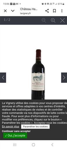 Bordeaux Saint-Émilion Grand Cru Château Haut-Brisson 2020