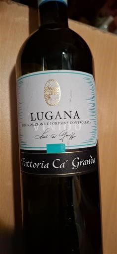Lombardie Lugana Fattoria ça grande 2023