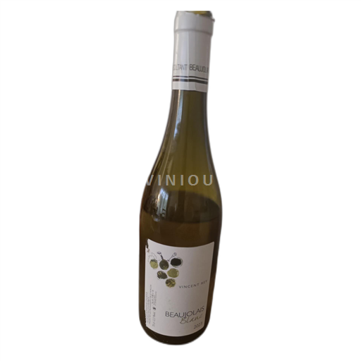 Beaujolais Não especificado Vincent rey 2023 2023