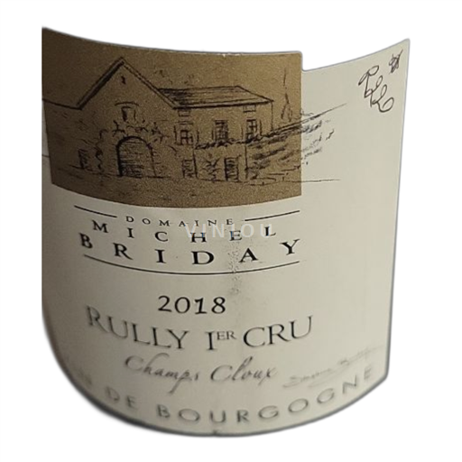 Burgund Nicht spezifiziert Premier Cru Domaine Michel Briday Champs Cloux 2018