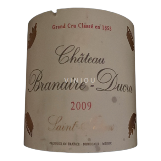 Bordeaux Saint-Julien Grand Cru Château Branaireducru 2009