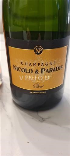 Champagne Nicolo & Paradis Tradition Ikke årgangsbestemt