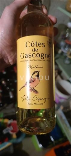 Jugperëndim Bregdeti i Gasconisë Jolis Cépages Jo Viti