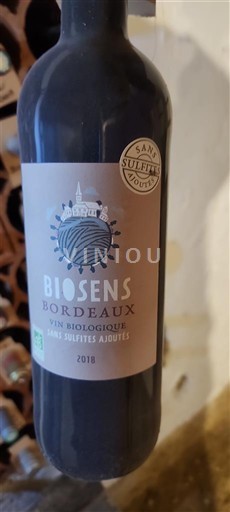 Bordeaux Biosens 2018