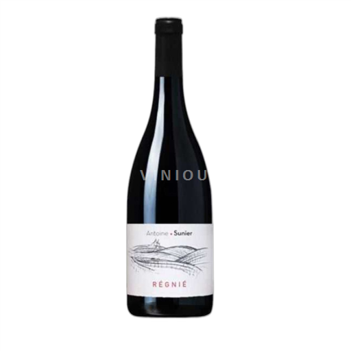 Beaujolais Régnié Antoine Saunier 2023
