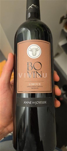 Langvedok Limoux Anne De Joyeuse Bo Vin 2020