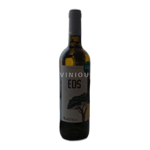Bordeaux Blaye-Côtes-de-Bordeaux Vignoble Guillaume Guérin 2023