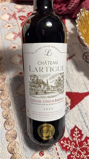 Bordeaux Castillon Côtes de Bordeaux Château Lartigue 2022