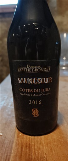 Jura Côtes du Jura Domaine Berthet-Bondet Savagnin 2016