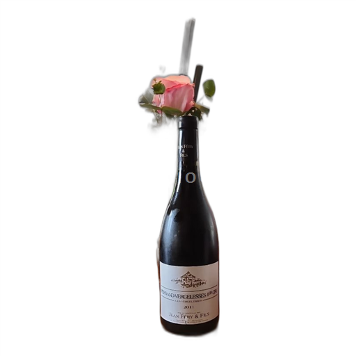 Bourgogne Pernand-vergelesses Premier Cru Jean Féry & Fils Les Vergelesses 2011