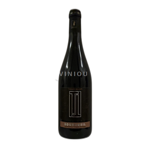 Loiredalen Bourgueil Domaine Petit Bondieu Terres Brunes Icke årgångsbetecknad