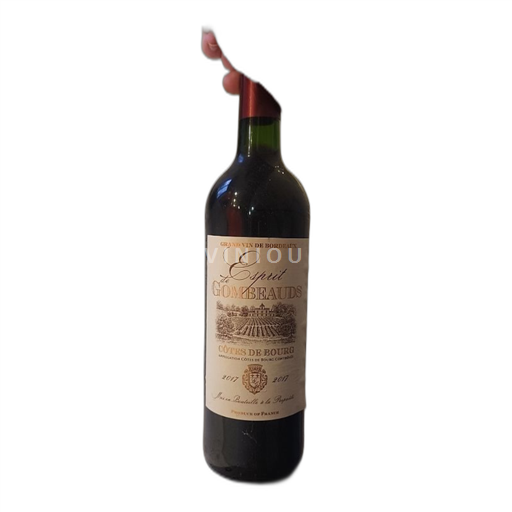 Bordeaux Côtes-de-bourg Esprit De Gombeauds 2017